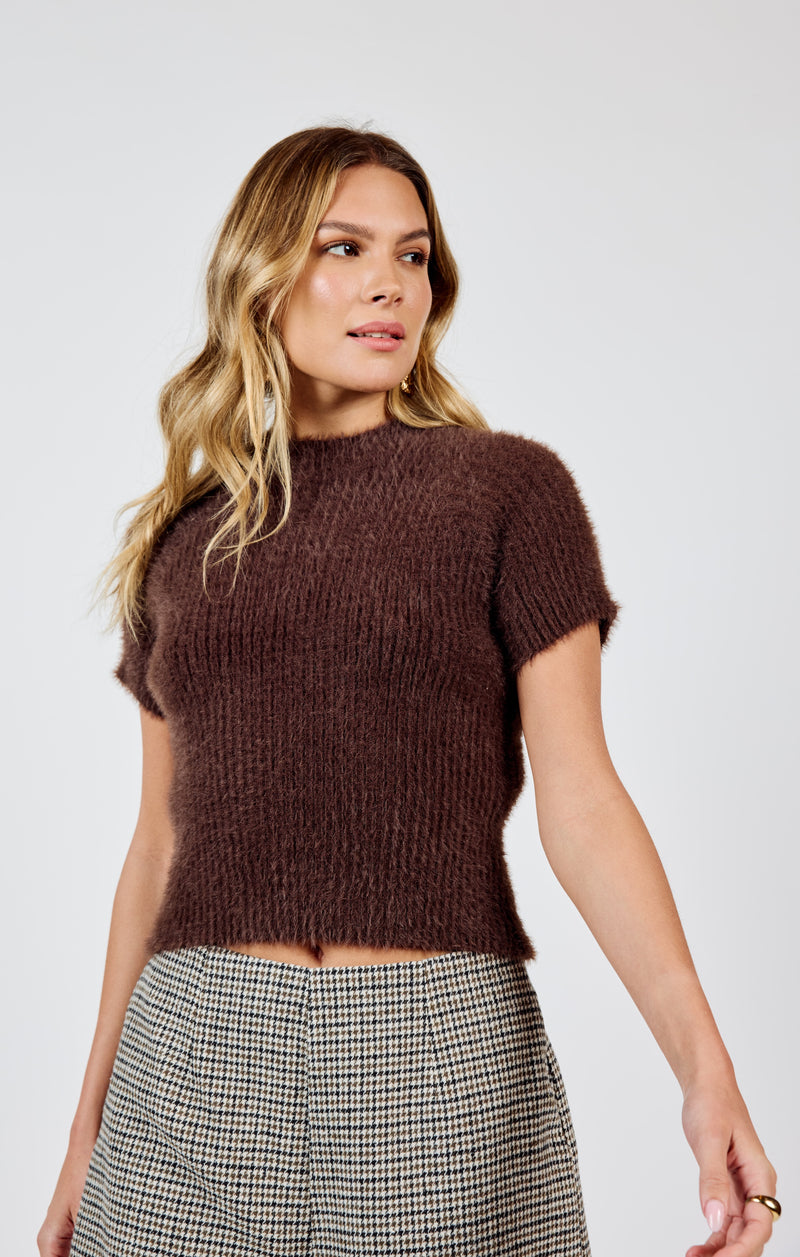 Rudy Ribbed Short Sleeve Sweater, Brown