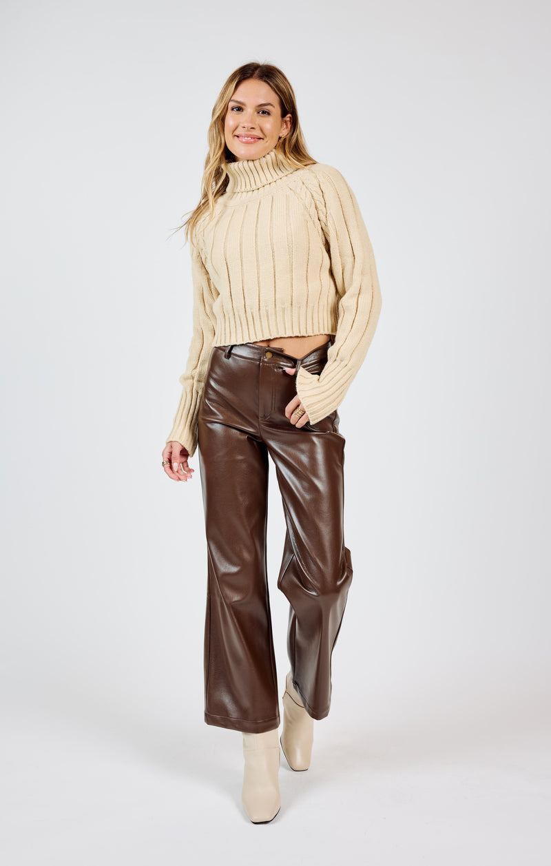 Night Vision Faux Leather Pants, Brown