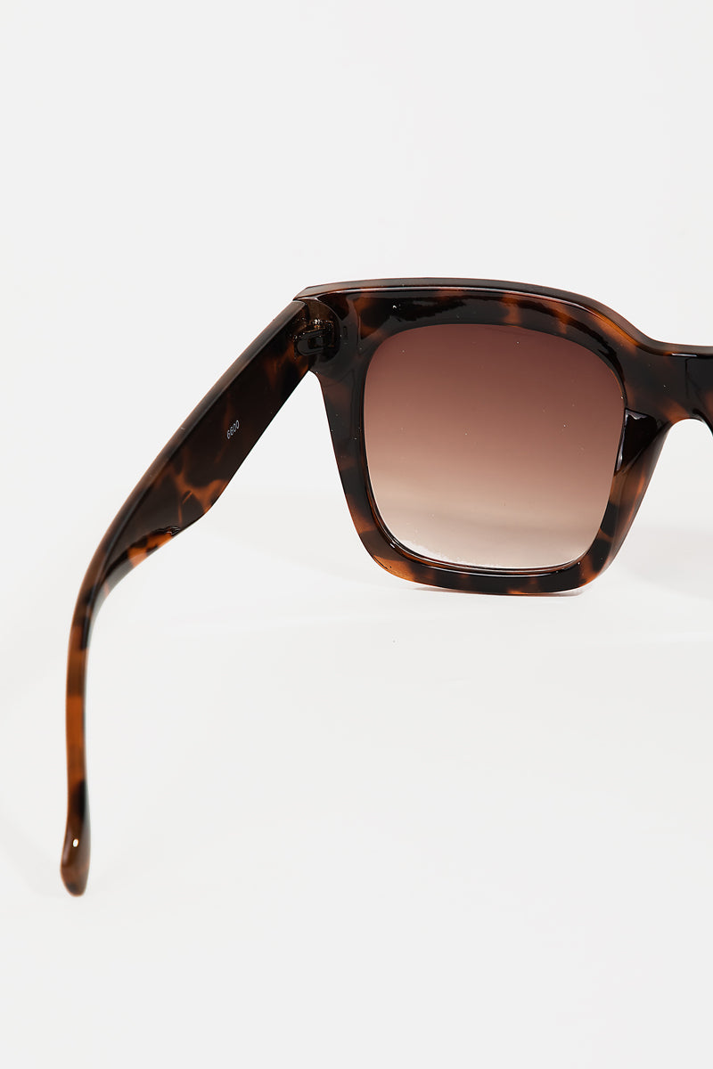 Acetate Frame Sunglasses Set