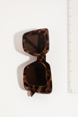 Thick Plastic Frame Cat Eye Sunglasses