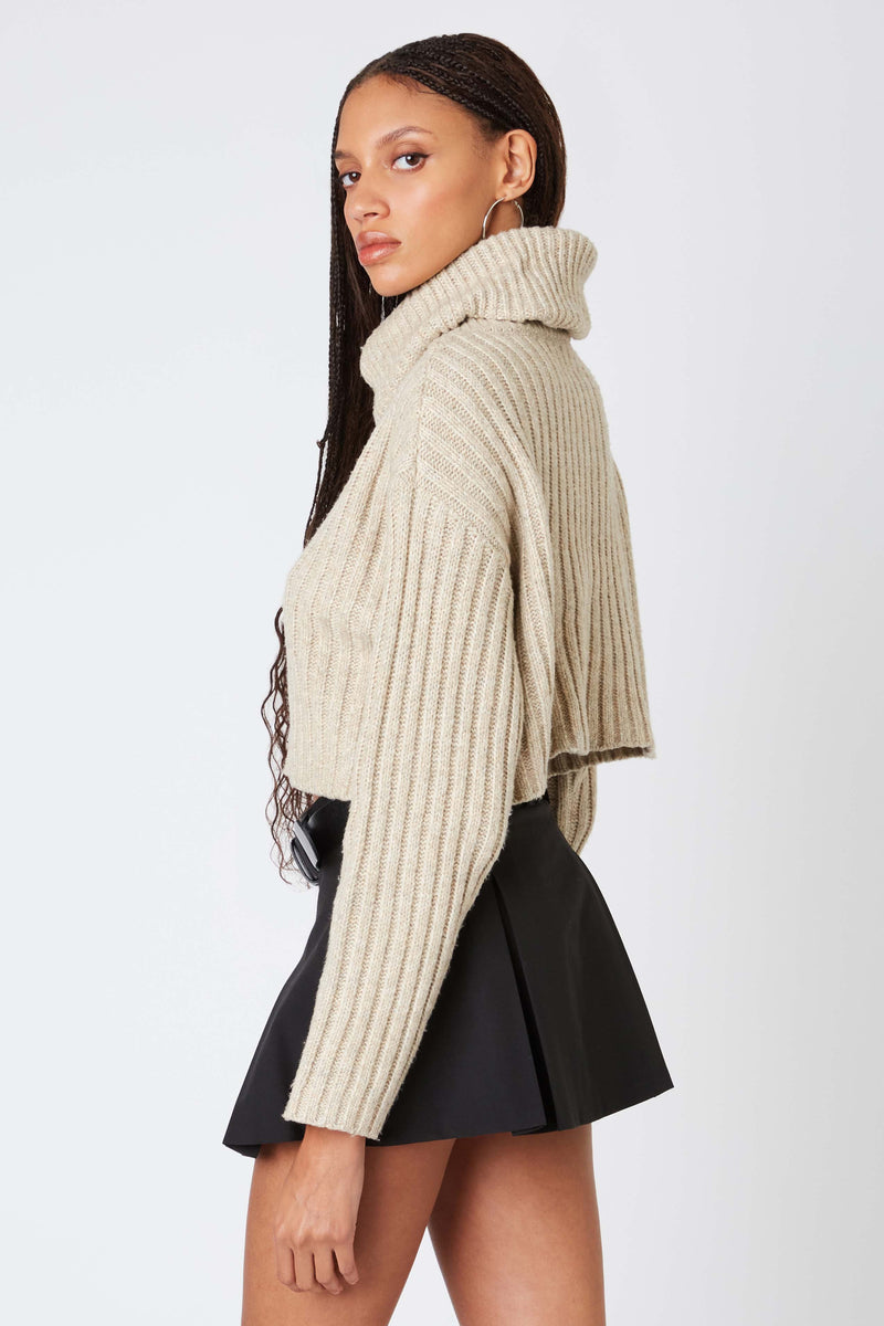 Cropped Turtleneck Sweater, Tan