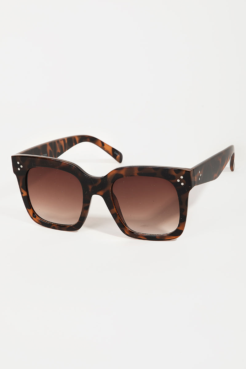 Acetate Frame Sunglasses Set