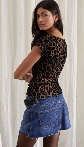 Nova Top, Leopard