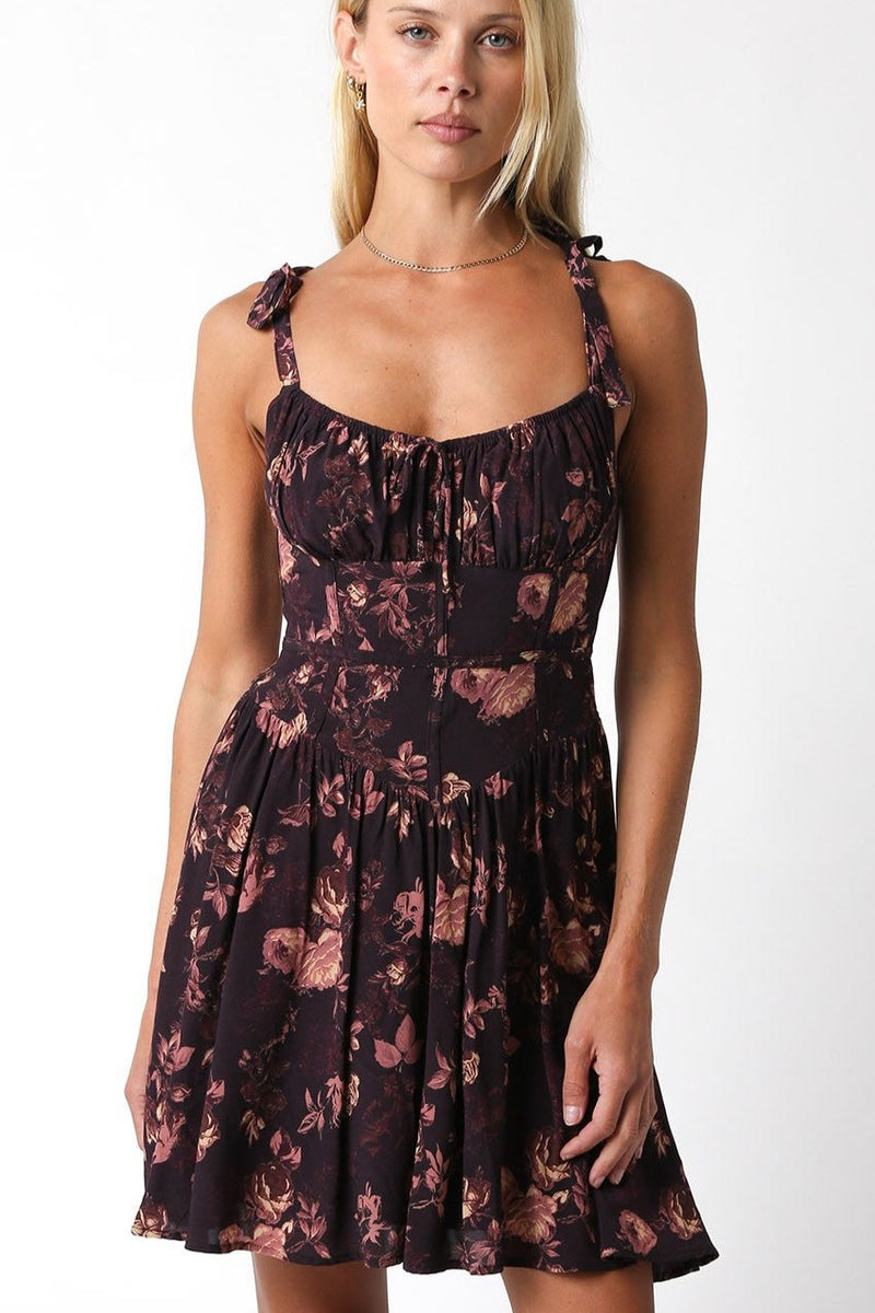 Corset Mini Dress, Brown Floral